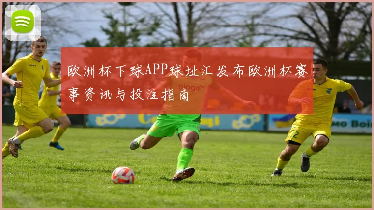 欧洲杯下球APP球址汇发布欧洲杯赛事资讯与投注指南