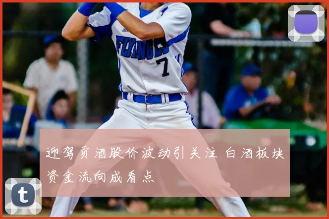 迎驾贡酒股价波动引关注 白酒板块资金流向成看点