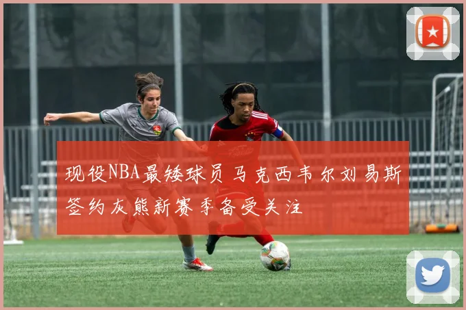 现役NBA最矮球员马克西韦尔刘易斯签约灰熊新赛季备受关注