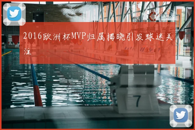 2016欧洲杯MVP归属揭晓引发球迷关注