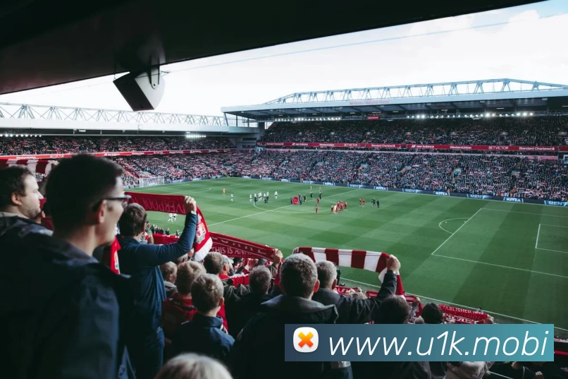 巅峰国际官网 - 追求健康,你我一起成长APP 高清赛事图